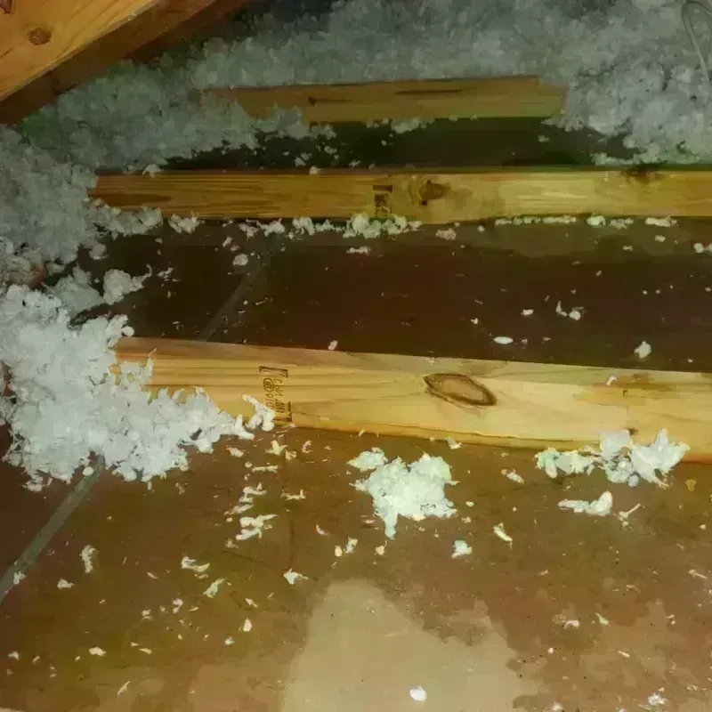 Attic Water Damage in Walkerton, IN